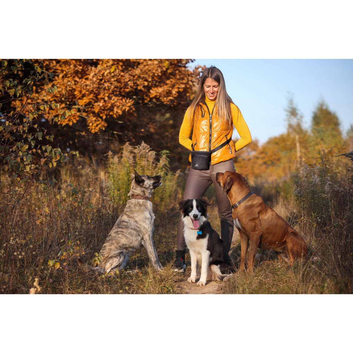 Dog Treat Pouch product image 7
