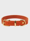 Dog Collar product image 1