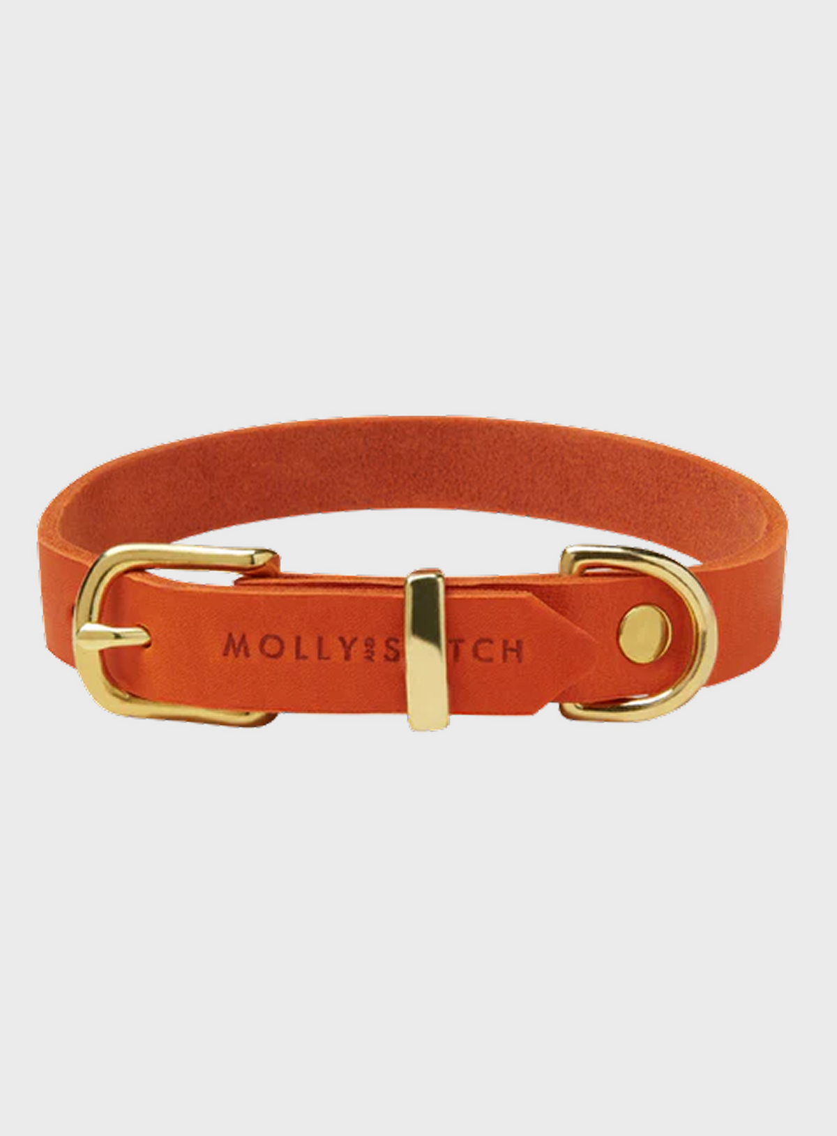 Dog Collar product image 1