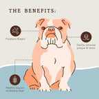 Dog Dental Treats product image 4