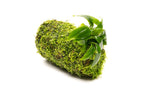 Live Aquarium Plant Tower product image 4