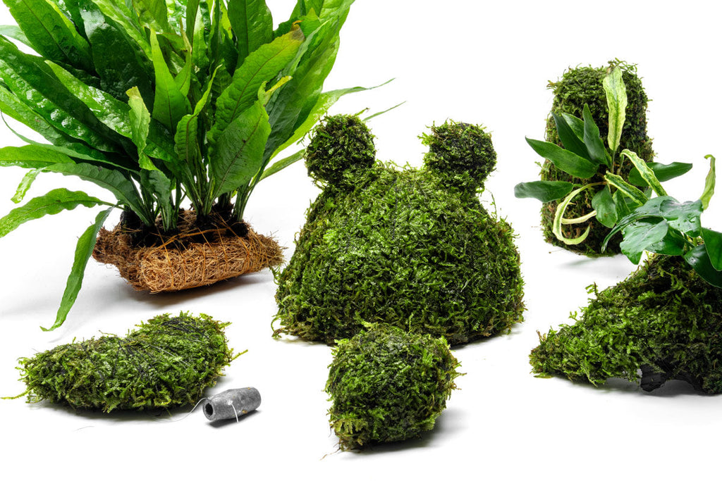 Live Aquarium Plant Tower product image 6