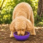 Wobble Lick Mat Bowl product image 5