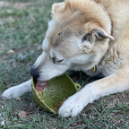 Wobble Lick Mat Bowl product image 11