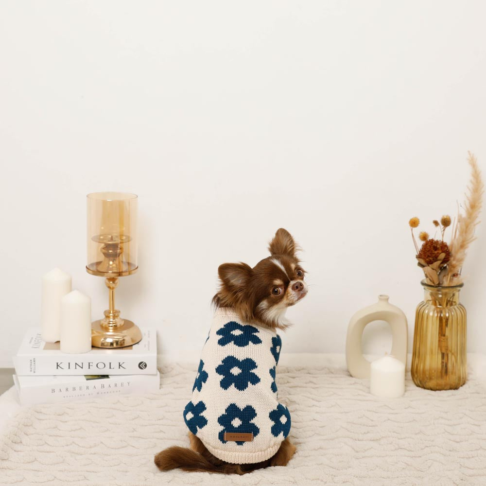 Dog Knit Vest product image 2