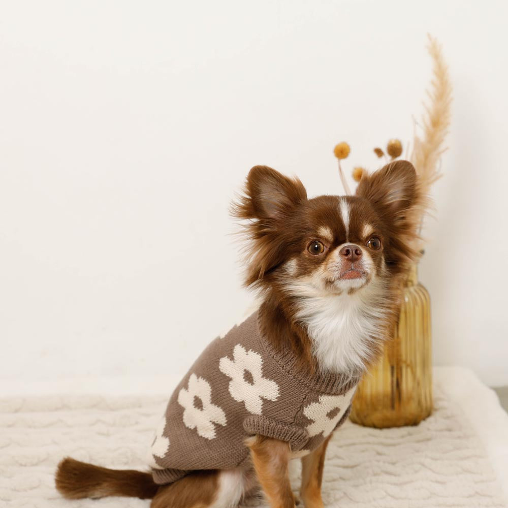 Dog Knit Vest product image 5