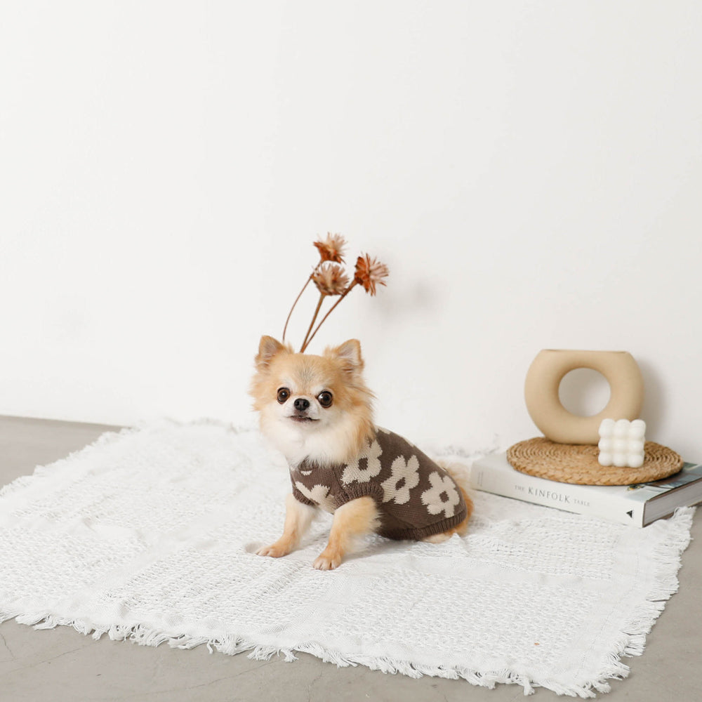 Dog Knit Vest product image 6