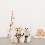 Dog Knit Vest product image 12