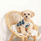 Dog Knit Vest product image 13