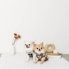 Dog Knit Vest product image 14