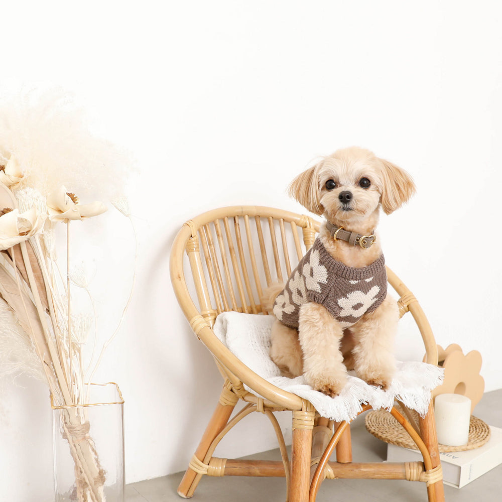 Dog Knit Vest product image 15