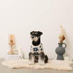 Dog Knit Vest product image 17
