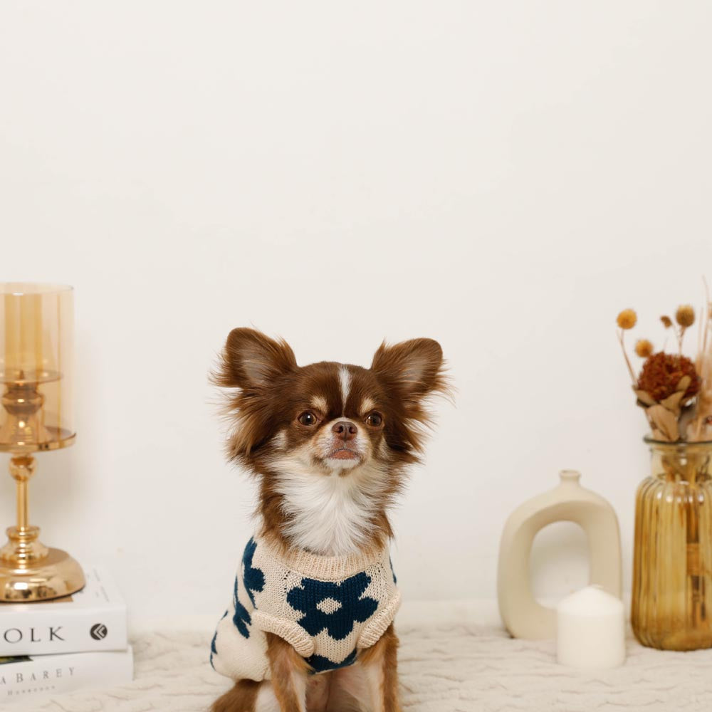 Dog Knit Vest product image 18