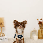 Dog Knit Vest product image 18