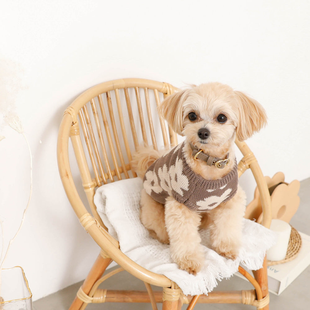 Dog Knit Vest product image 25