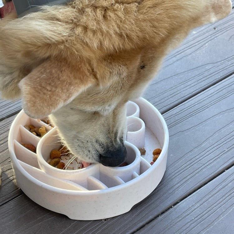 Slow Feeder Bowl product image 8