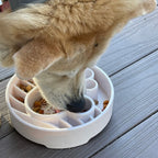 Slow Feeder Bowl product image 8