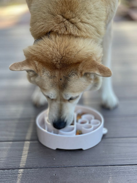 Slow Feeder Bowl product image 9