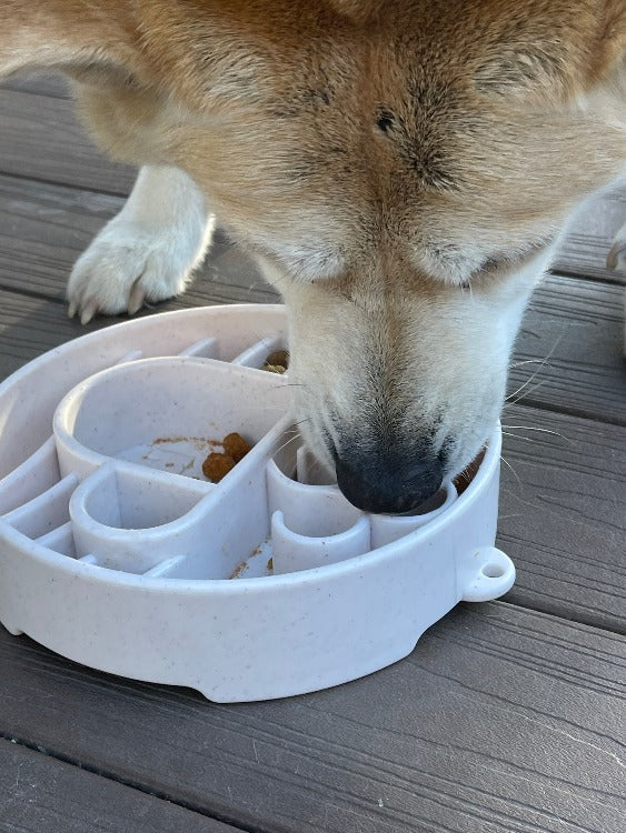 Slow Feeder Bowl product image 11