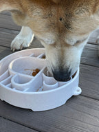 Slow Feeder Bowl product image 11