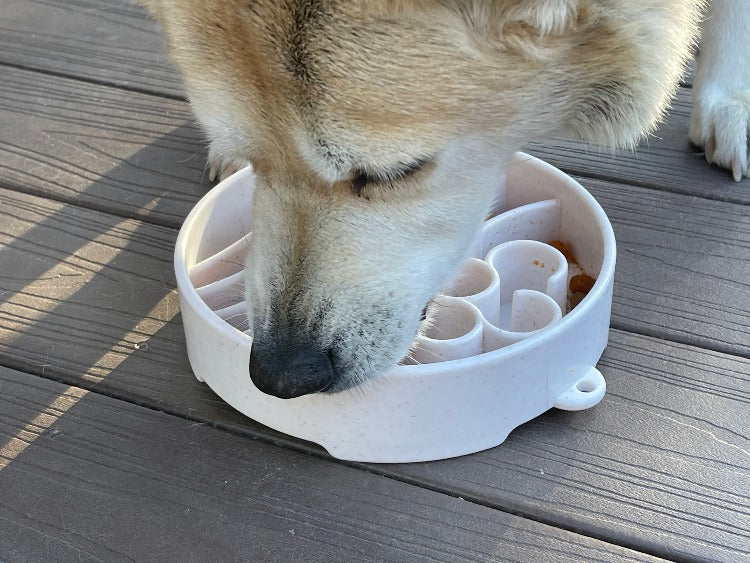 Slow Feeder Bowl product image 12