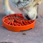 Slow Feeder Bowl product image 8