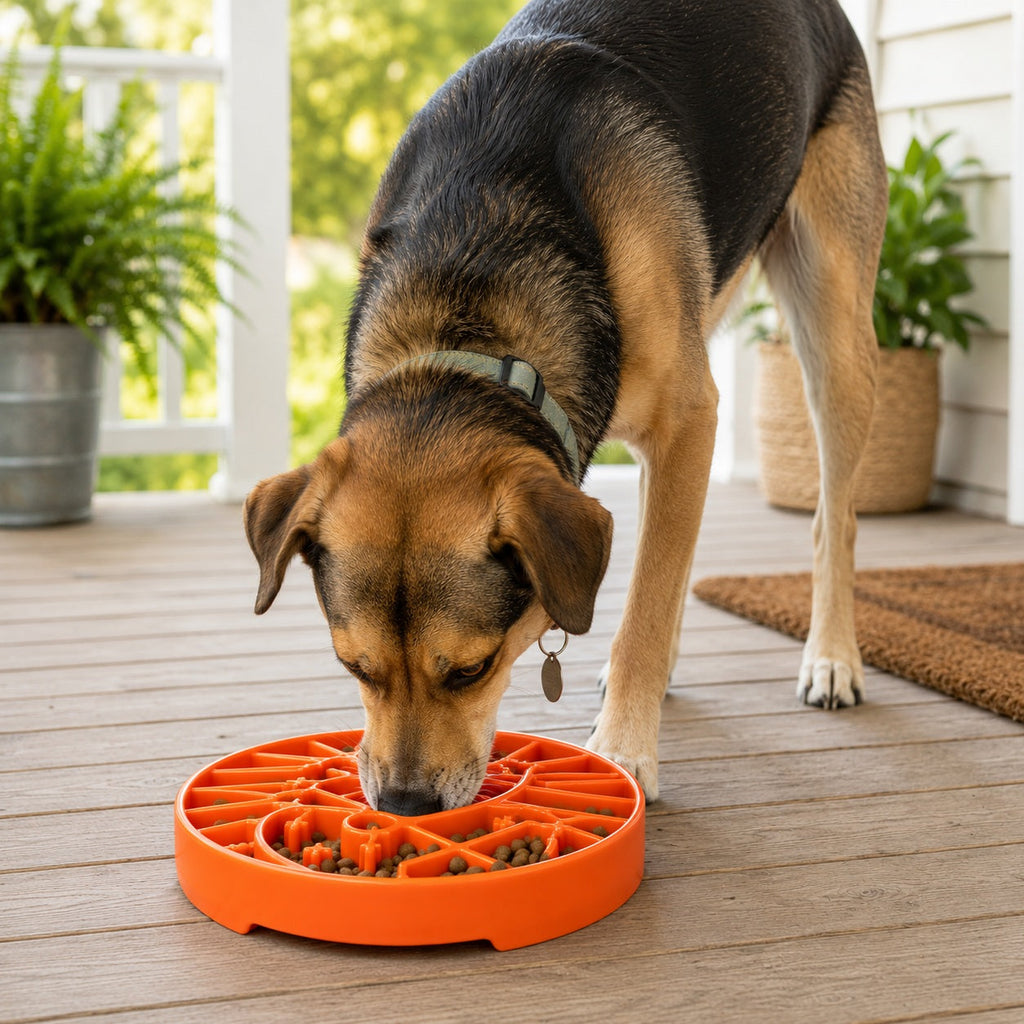 Slow Feeder Bowl product image 12