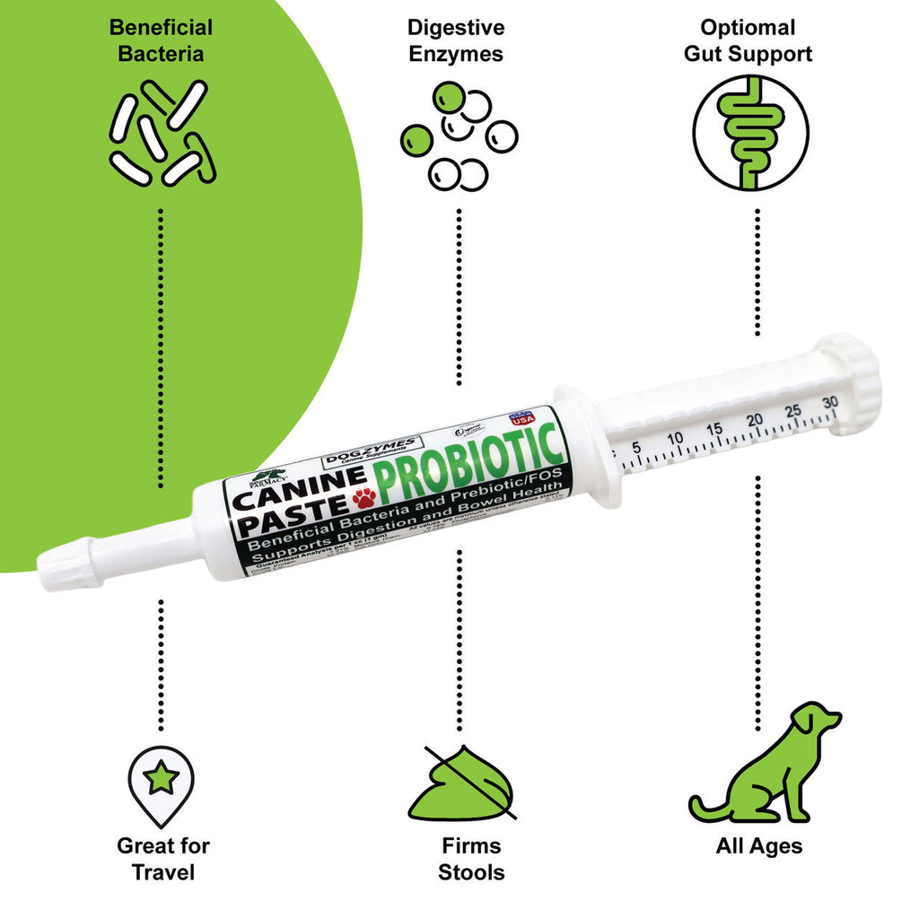 Canine Probiotic and Prebiotic Paste product image 2
