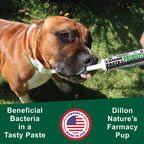 Canine Probiotic and Prebiotic Paste product image 4