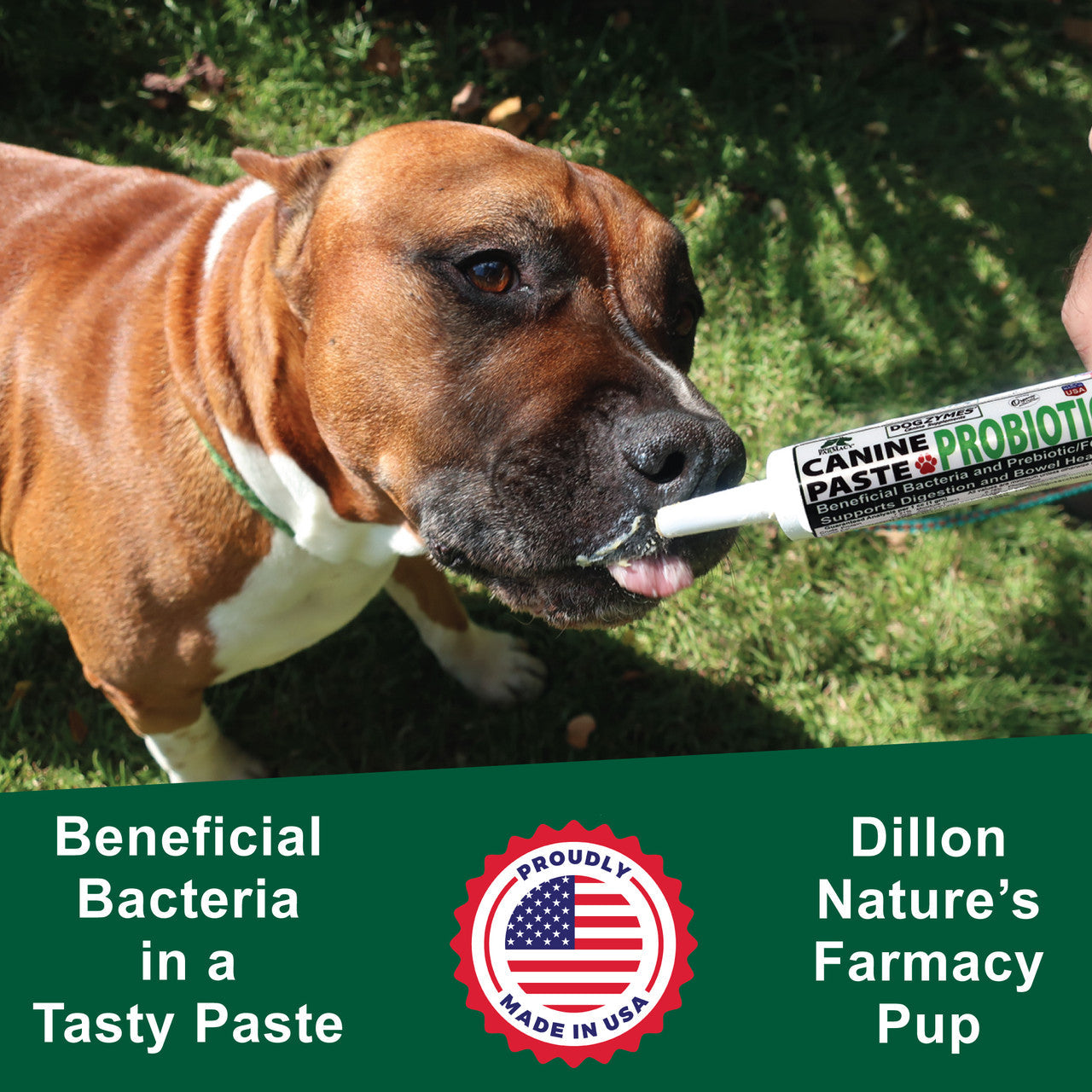 Canine Probiotic and Prebiotic Paste product image 4