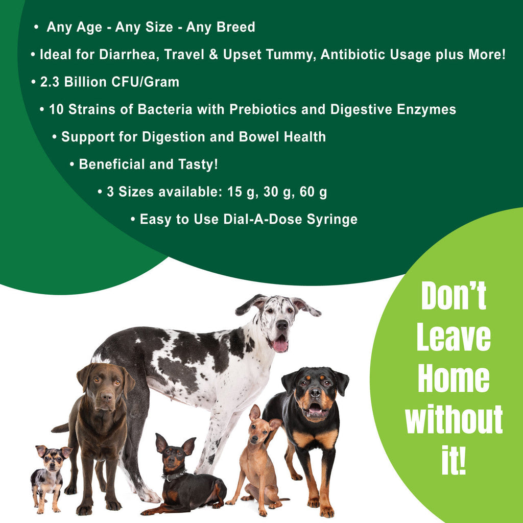 Canine Probiotic and Prebiotic Paste product image 5