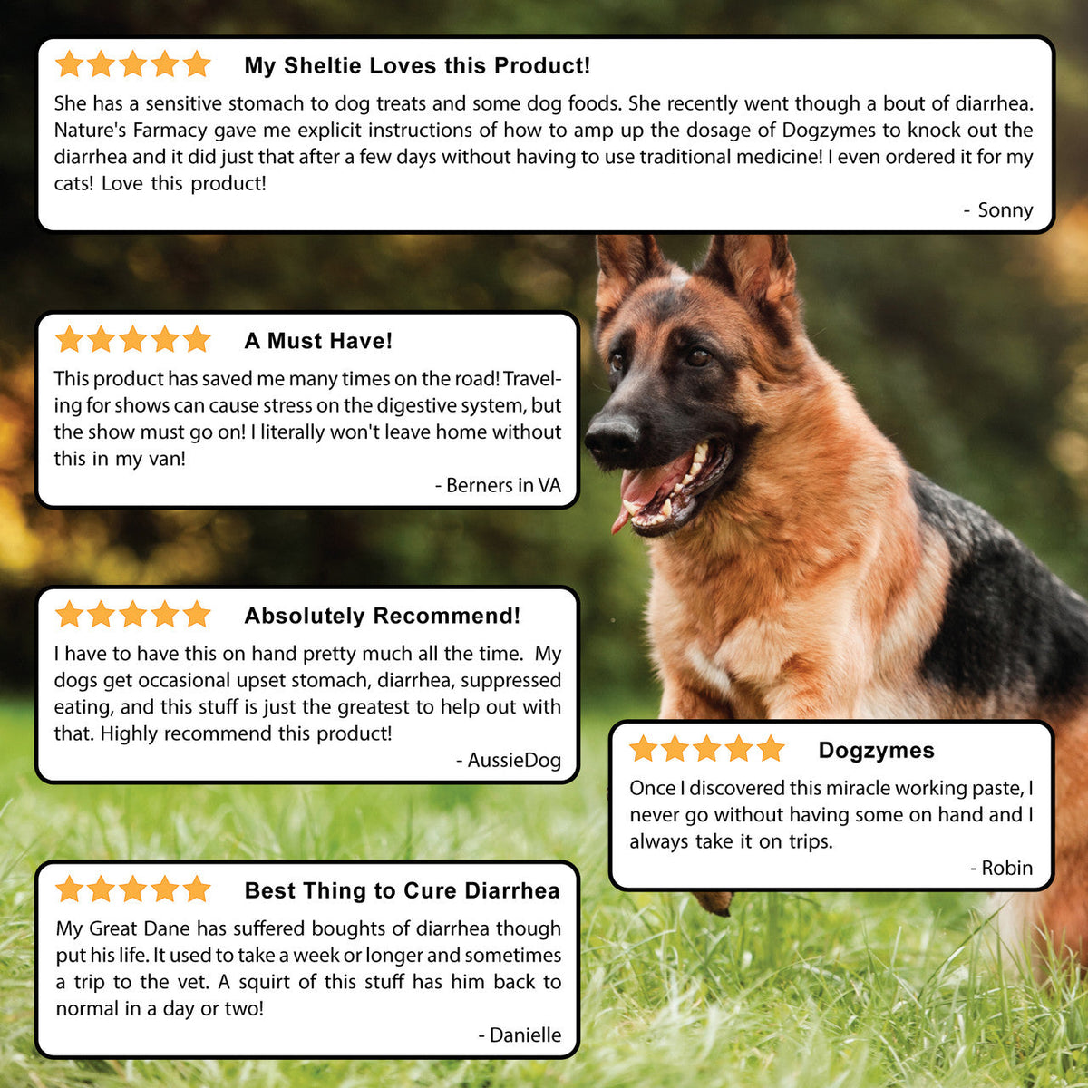 Canine Probiotic and Prebiotic Paste product image 6