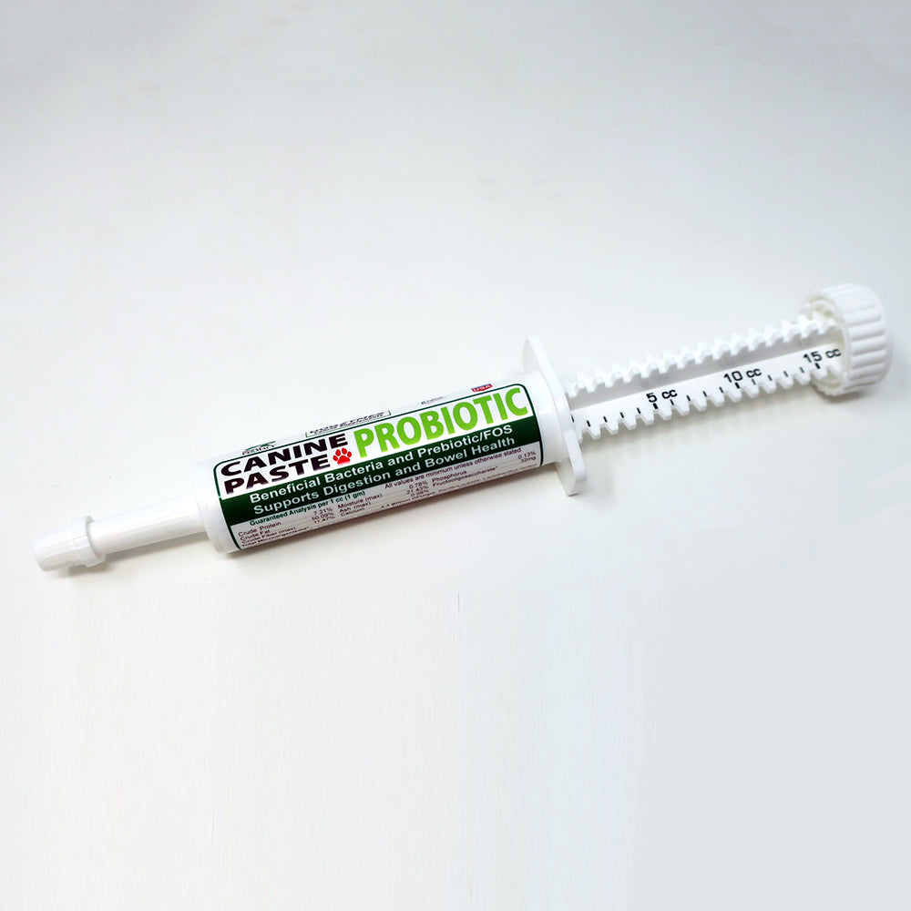 Canine Probiotic and Prebiotic Paste product image 10