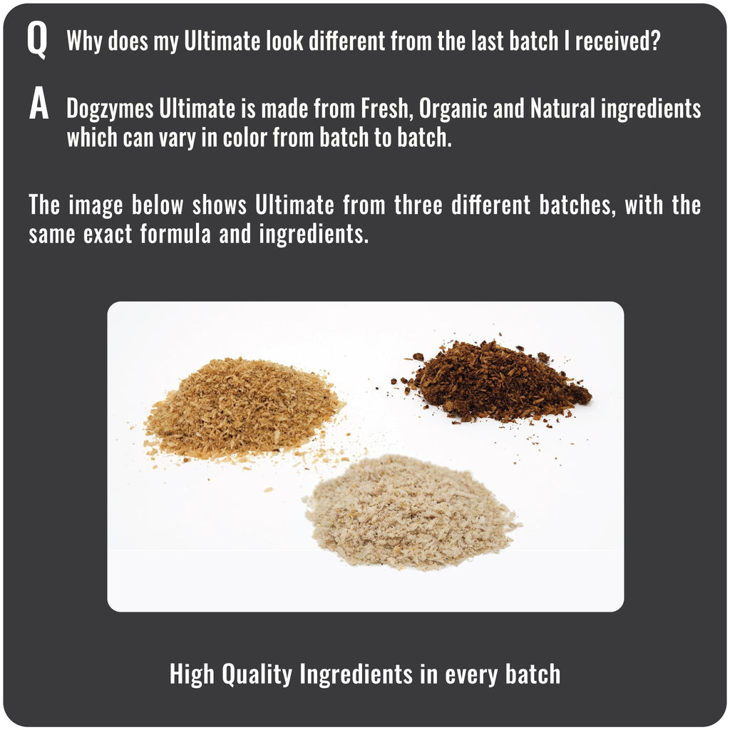 Dog Skin & Coat Supplement product image 3