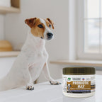 Dogzymes Probiotic Max®