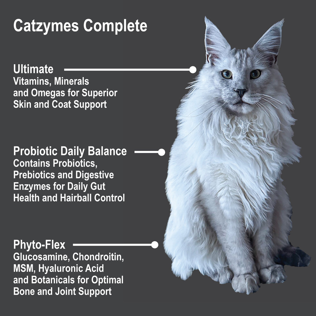 Feline Daily Supplement product image 3