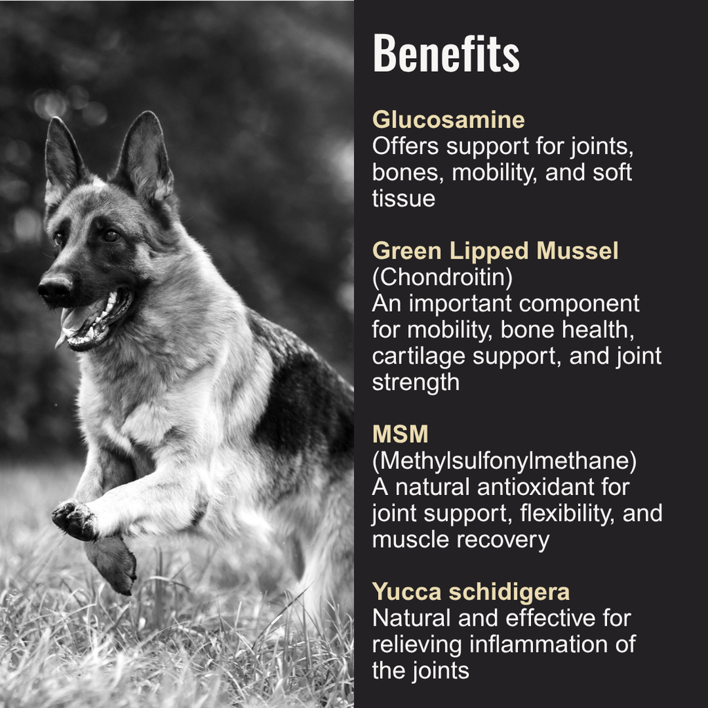 Dog Joint Supplement product image 2