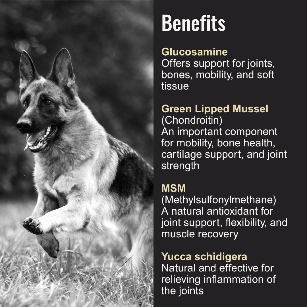 Dog Joint Supplement product image 2