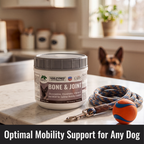 Dog Joint Supplement product image 4