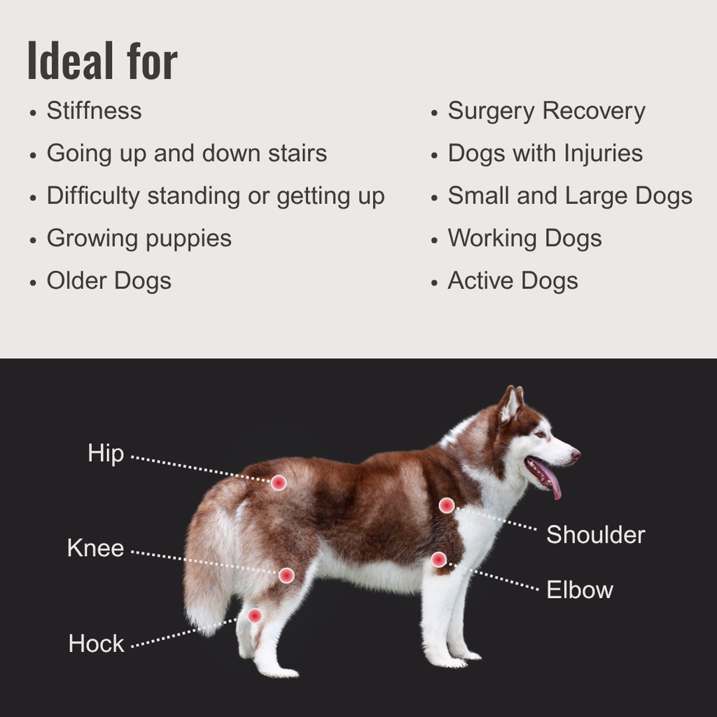 Dog Joint Supplement product image 5