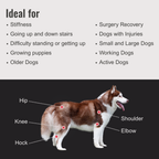 Dog Joint Supplement product image 5