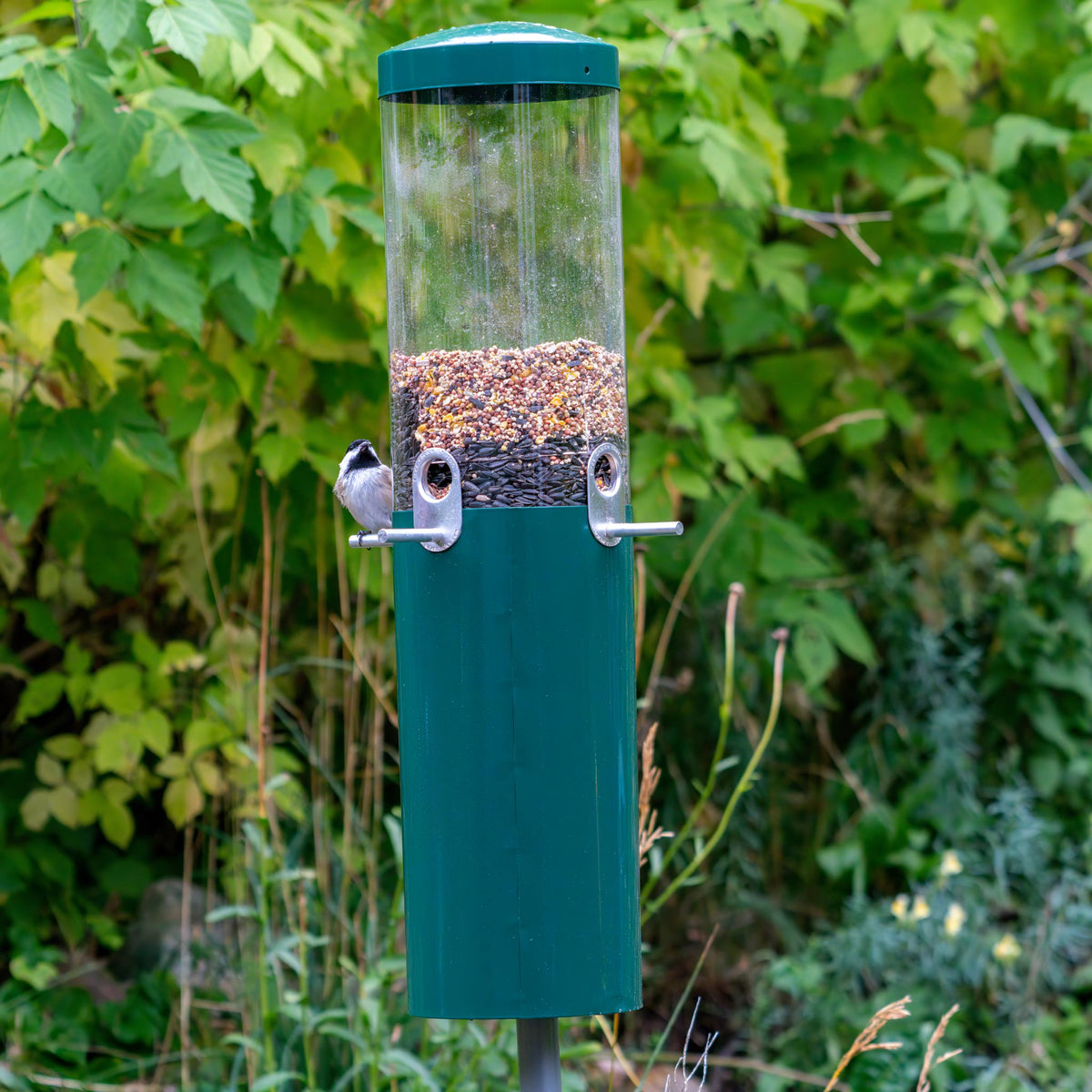 Squirrel Proof Bird Feeder product image 2