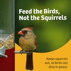 Squirrel Proof Bird Feeder product image 13
