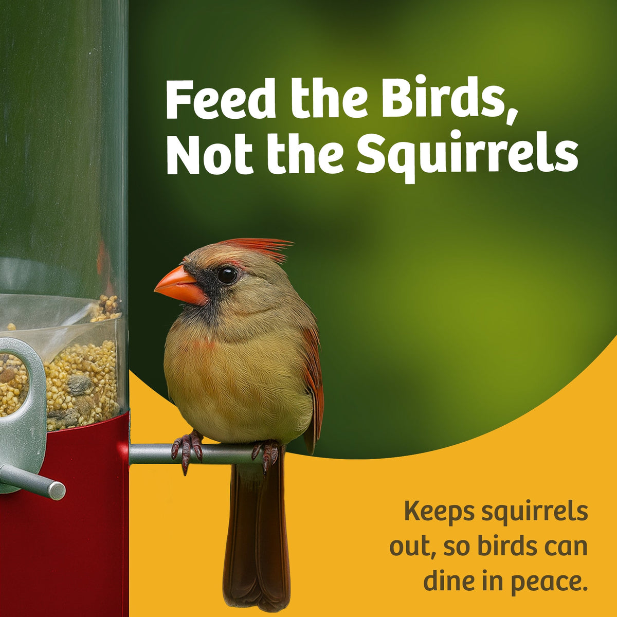 Squirrel Proof Bird Feeder product image 13