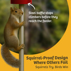 Squirrel Proof Bird Feeder product image 14