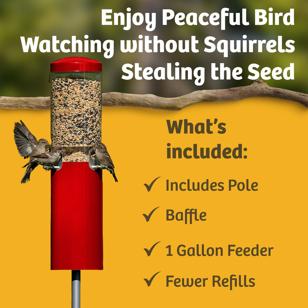 Squirrel Proof Bird Feeder product image 15