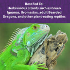 Herbivorous Reptile Food product image 4