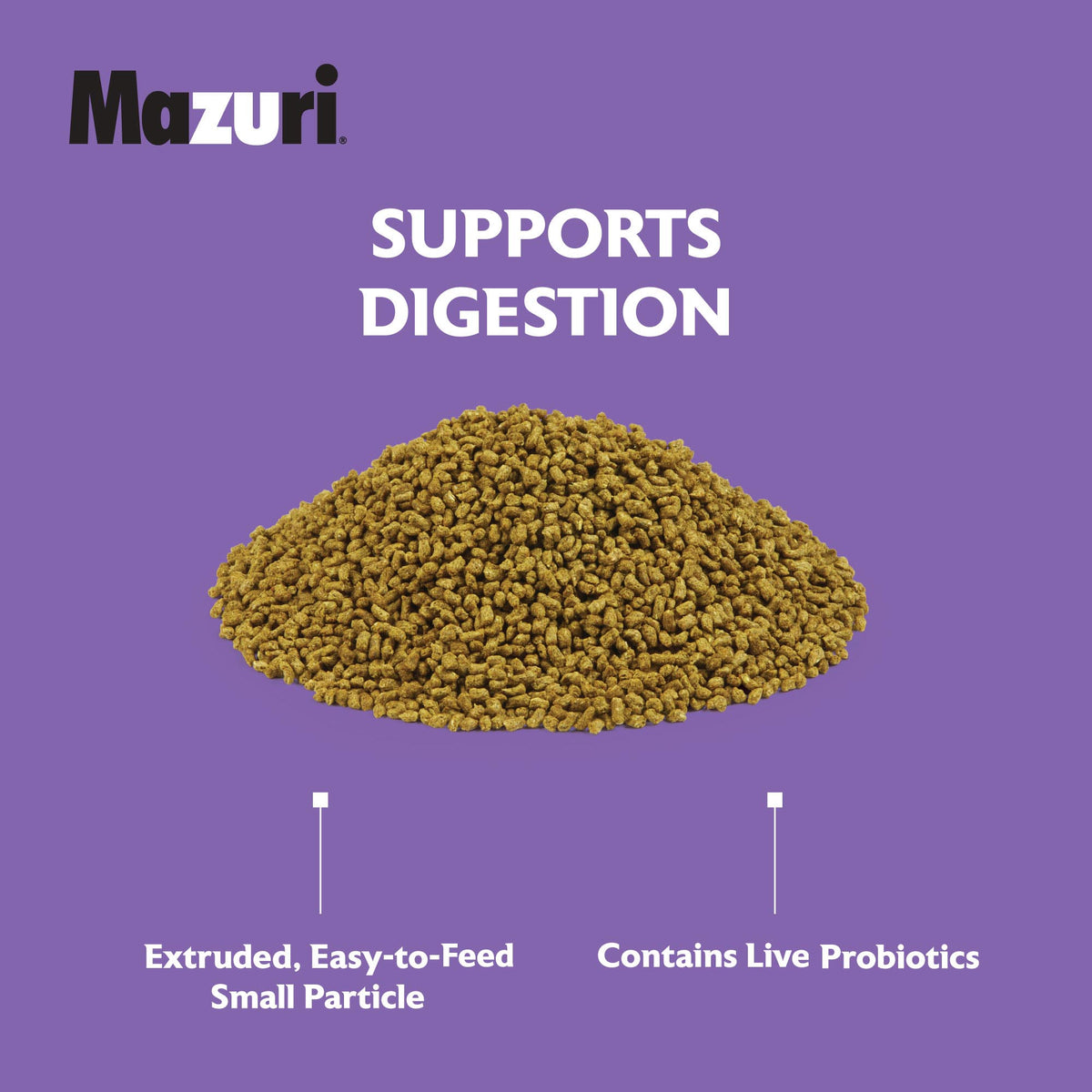 Herbivorous Reptile Food product image 6