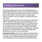 Herbivorous Reptile Food product image 9