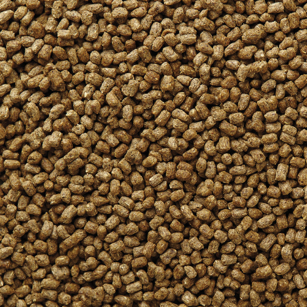Herbivorous Reptile Food product image 10